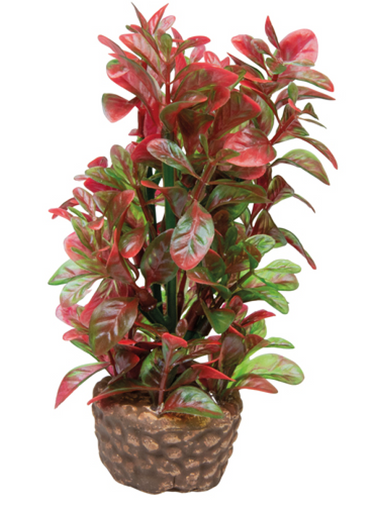 Flora Stone 4